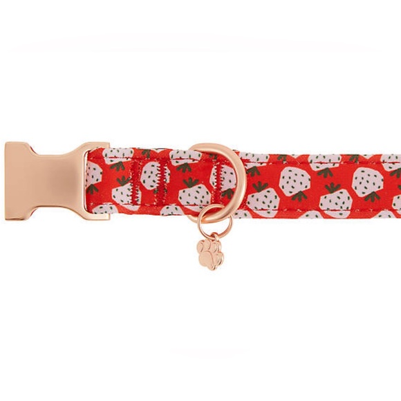 Top Paw® Strawberry Neoprene Adjustable Dog Collar
